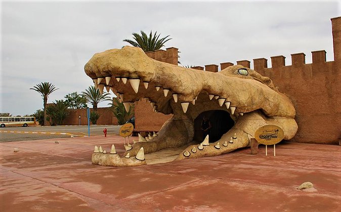 Effortless Agadir Crocoparc Ticket and Transfer Service - Feeding time is the main event