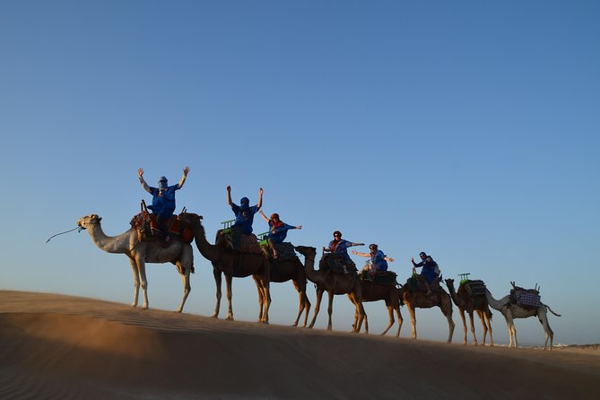 Essaouira: 1/2 Day Camel ride with meal. - Meeting your dromedary near Bab Marrakech