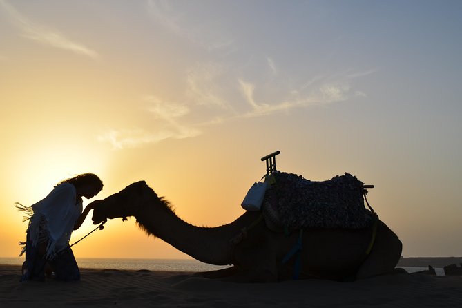 Essaouira: 1/2 Day Camel ride with meal. - Lunch cooked over a wood fire
