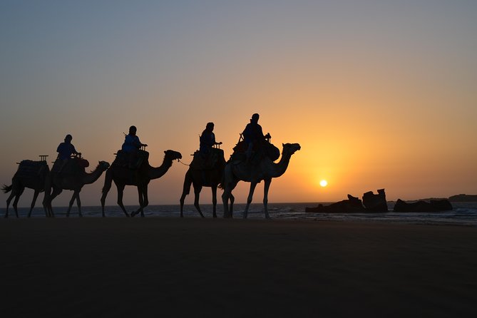 Essaouira: 1/2 Day Camel ride with meal. - Forest paths and the dunes of Cap Sim