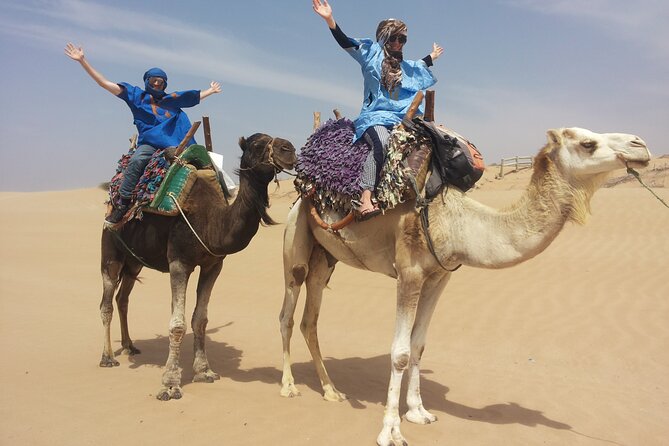 Essaouira 1 hour discovery ride on the back of a camel - Passing through the eucalyptus forest