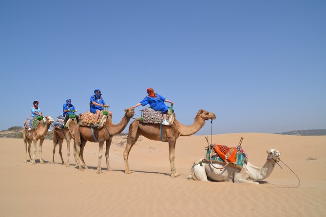 Essaouira 1 hour discovery ride on the back of a camel - Seeing the Dar Sultan ruins