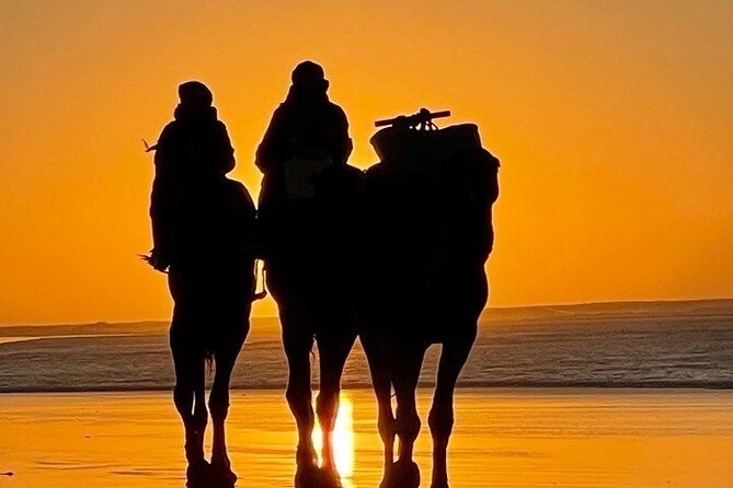 Essaouira 1 hour discovery ride on the back of a camel - The Portuguese Borj and the final views