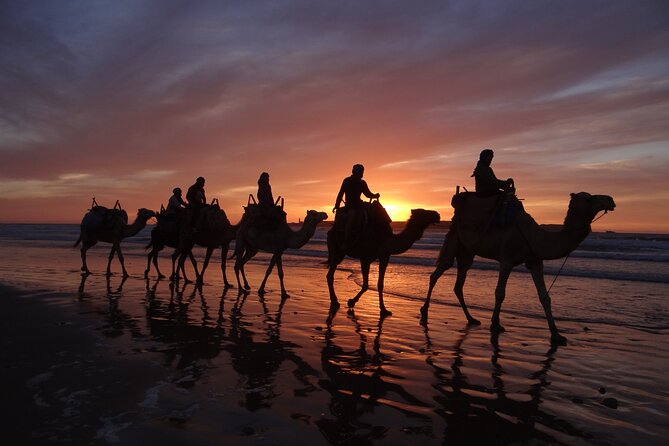 Essaouira 1 hour discovery ride on the back of a camel - What the $23.23 price gives you