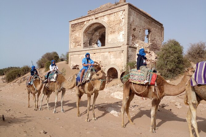 Essaouira: 1 Hour Dromedary + 2 Hours Quad - Sunset timing can make the difference