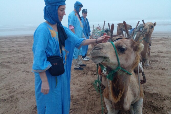 Essaouira: 1 Hour Dromedary + 2 Hours Quad - Is $79.10 per person good value?