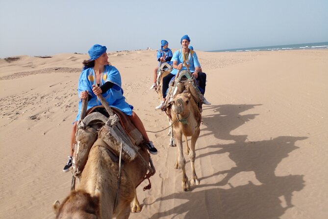 Essaouira: 1 Hour Dromedary + 2 Hours Quad - Who will enjoy this most?