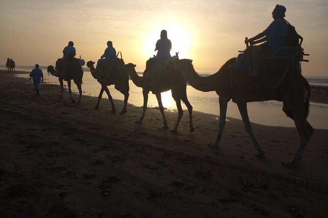 Essaouira: 1 Hour Dromedary + 2 Hours Quad - Switching from a quad to a dromedary