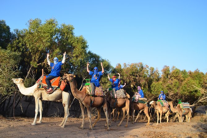 Essaouira 2-Hour Camel Adventure Ride - Key points to know before booking