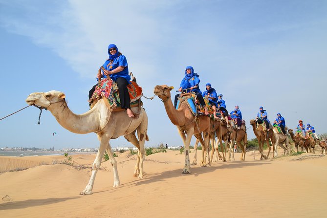Essaouira 2-Hour Camel Adventure Ride - Seeing the Portuguese borj and Dar Soltane ruins