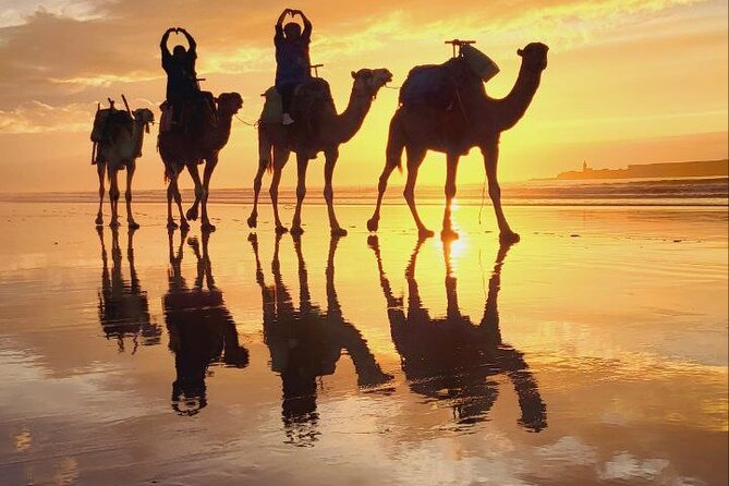 Essaouira 2-Hour Camel Adventure Ride - What the $40.71 price includes