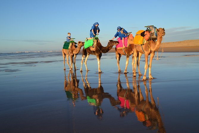 Essaouira 2-Hour Camel Adventure Ride - Meeting details, participation, and cancellation