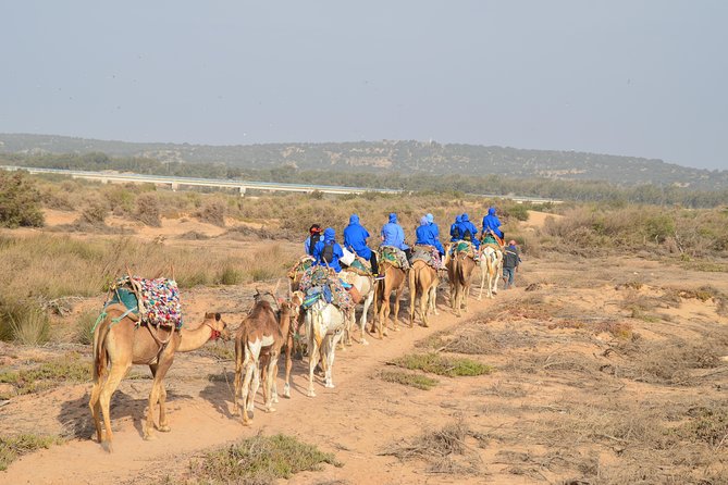 Essaouira 2-Hour Camel Adventure Ride - Who should book the Essaouira camel ride