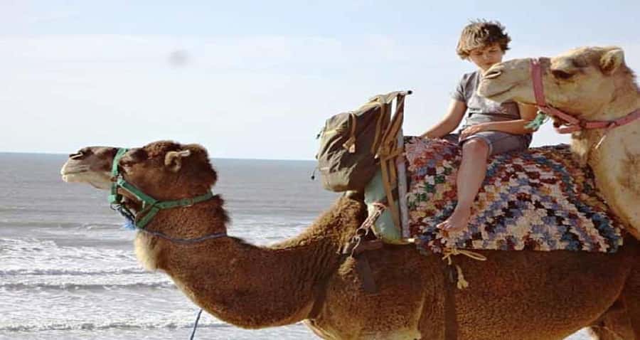 Essaouira: 2-Hour Camel Ride - Why Essaouira Works So Well for a Camel Ride