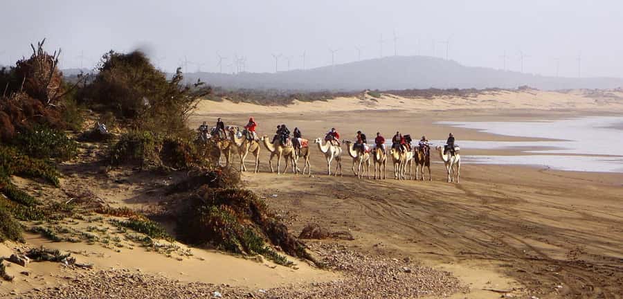 Essaouira: 2-Hour Camel Ride - What $47 Buys You