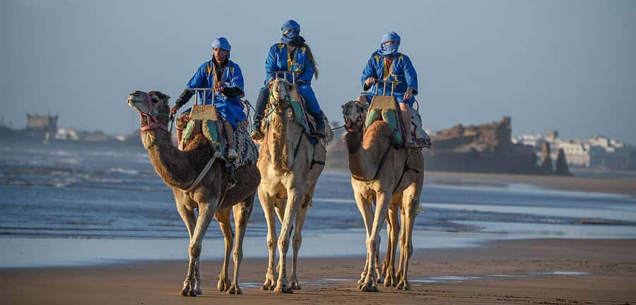 Essaouira: 2-Hour Camel Ride - From Your Hotel to the Camel Stables