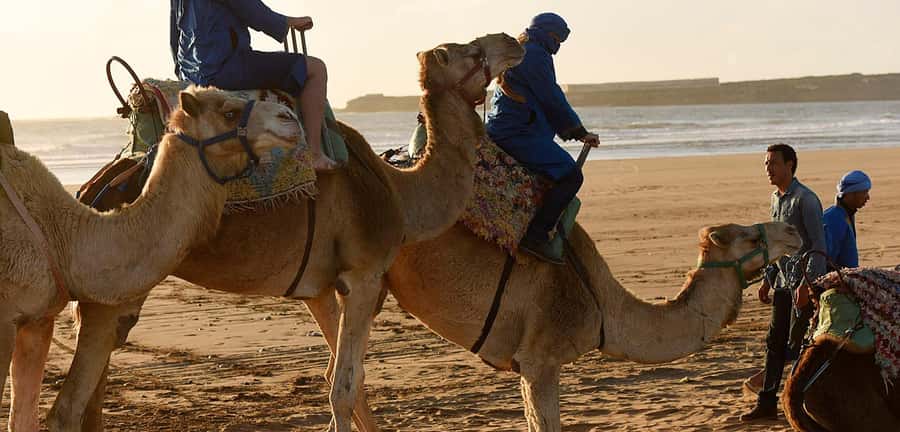 Essaouira: 2-Hour Camel Ride - Climbing the Dunes and Turning Inland