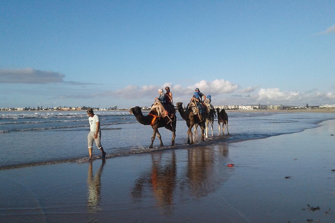 Essaouira: 2H camel/pick up and drop off including - A sunset camel ride beside Essaouira