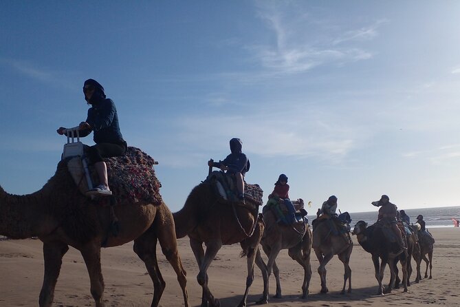 Essaouira: 2H camel/pick up and drop off including - What happens during the two-hour outing