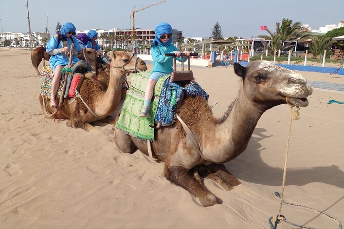 Essaouira: 2H camel/pick up and drop off including - The guide makes a real difference