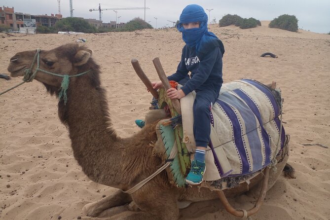 Essaouira: 2H camel/pick up and drop off including - The beach is beautiful, but not spotless