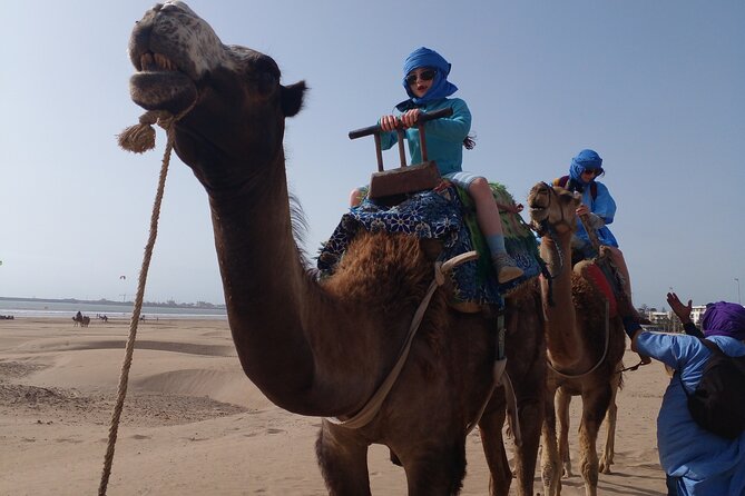 Essaouira: 2H camel/pick up and drop off including - Is $45.36 good value?