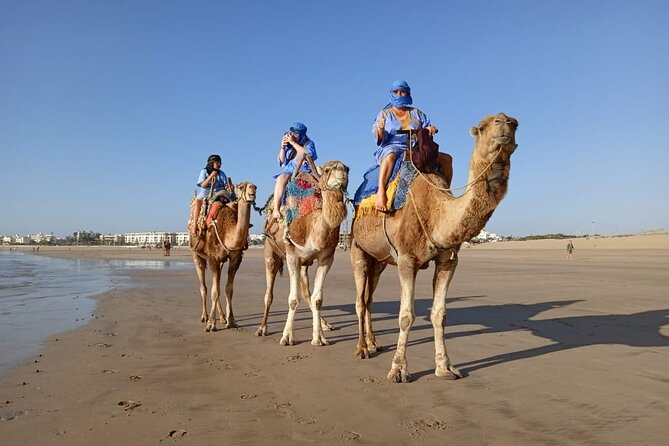 Essaouira: 2H camel/pick up and drop off including - Why sunset is the smart departure time