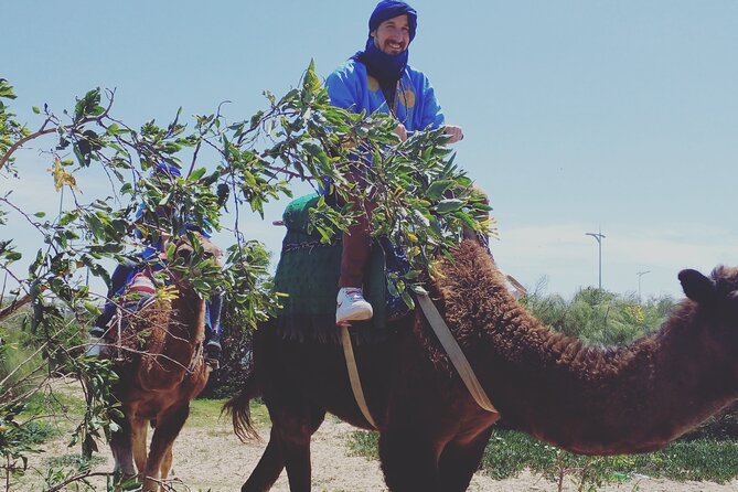 Essaouira: 3-Hour Camel Tour - Three hours between forest, dunes, and sea