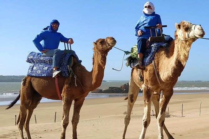 Essaouira: 3-Hour Camel Tour - Sunset over the Atlantic