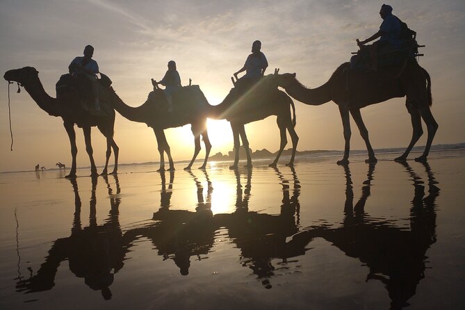 Essaouira: 3-Hour Camel Tour - What the guide adds to the outing