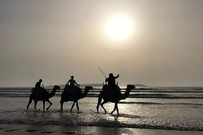 Essaouira: 3-Hour Camel Tour - Is $56.91 a fair price?