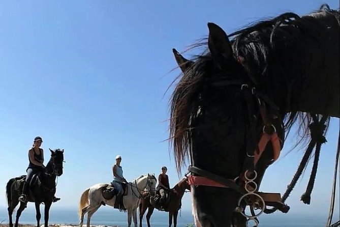 Essaouira Activities: Discover Essaouira by Quad - Why sunset may be the best three-hour slot