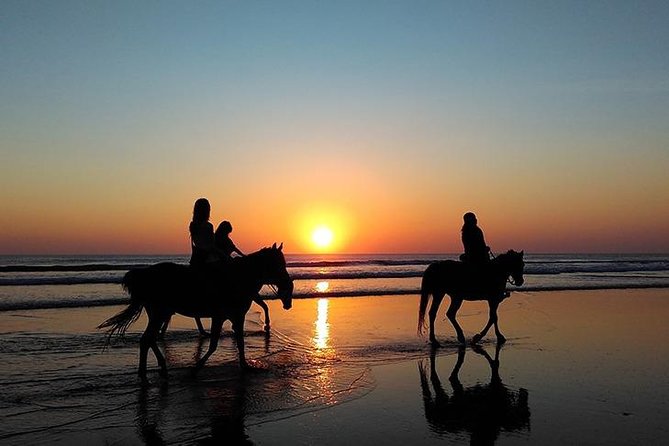 Essaouira Activities: Discover Essaouira by Quad - Wild beaches and a changing Atlantic view