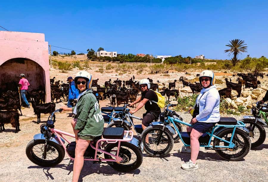 Essaouira: Area Highlights Guided E-Bike Tour - Price, Pace, and Practical Value