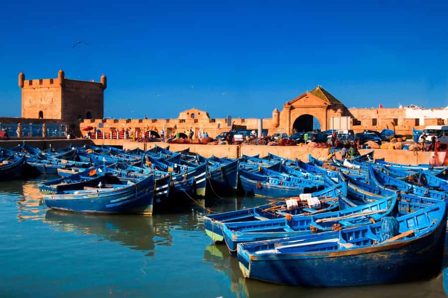 Essaouira Atlantic coast Day trip from marrakech - Seafood lunch by the Atlantic