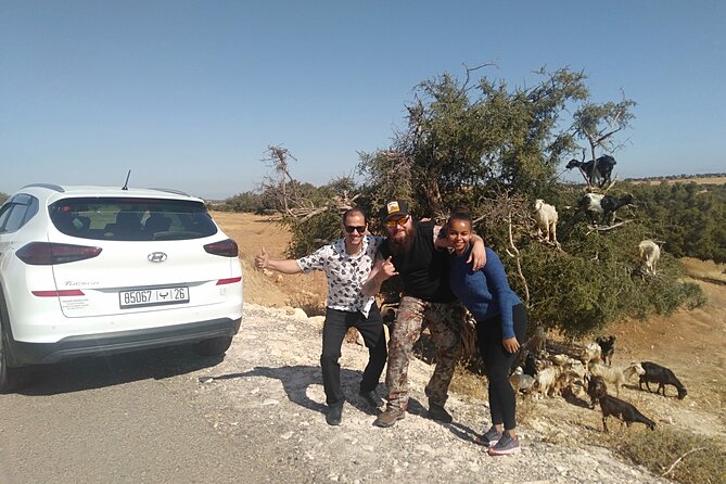Essaouira day trip from Marrakech - Beach time, sea wind, and realistic expectations