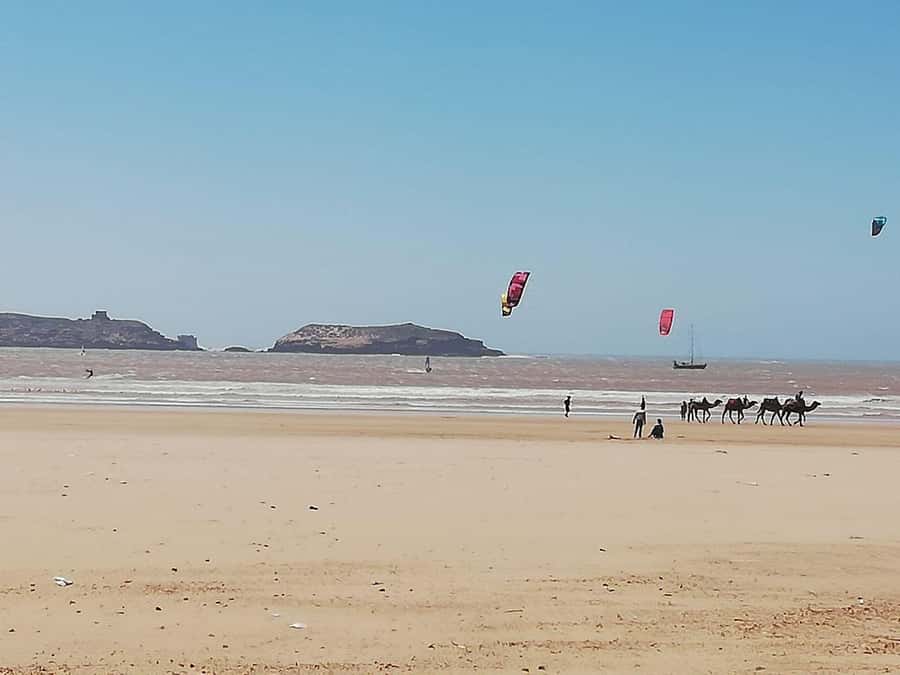 Essaouira Day Trip from Marrakech _ medina, old port - Moulay El Hassan Square and the route to the sea
