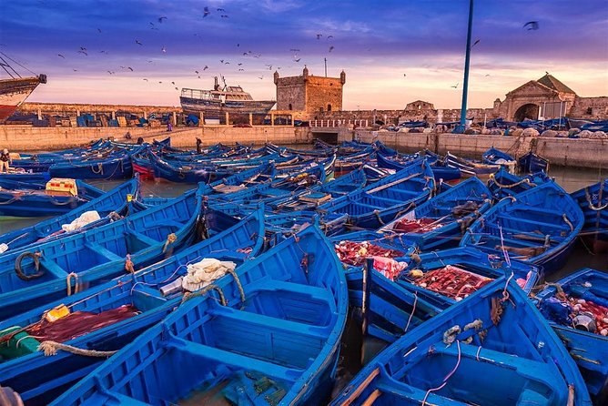 Essaouira excursion 1 day departure from Agadir - The long road from Agadir to the Atlantic