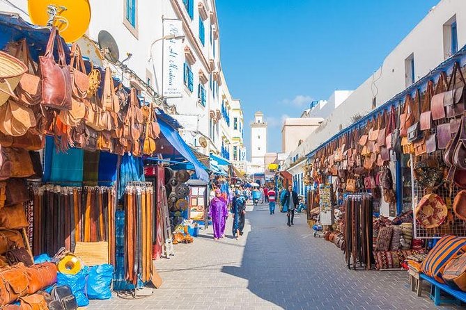 Essaouira excursion 1 day departure from Agadir - What to expect at the argan oil cooperative
