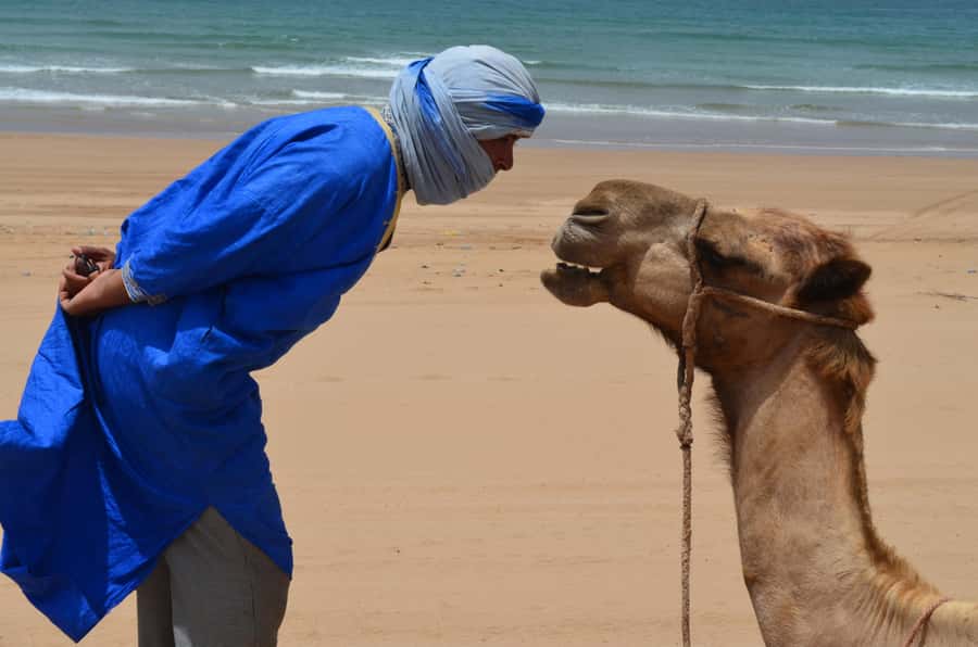 Essaouira: One Hour Dromedary Ride - Leaving Essaouira for Ranch de Diabat