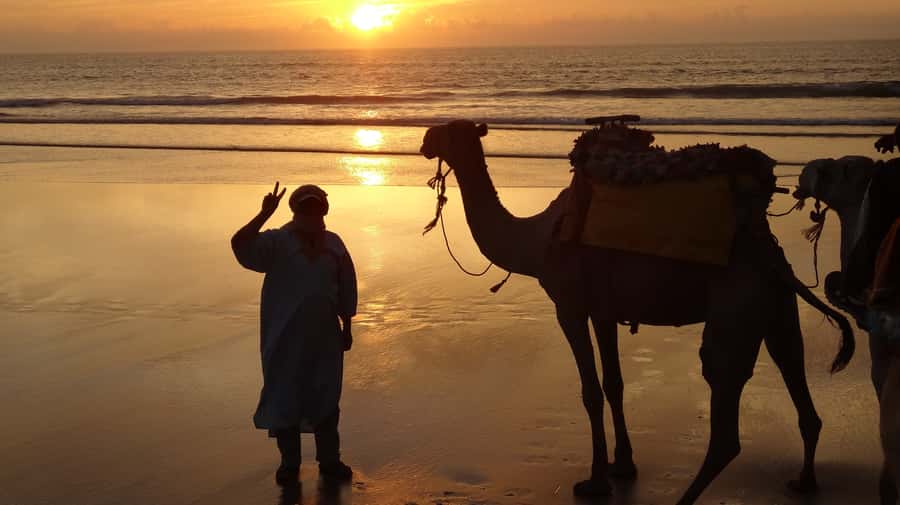 Essaouira: One Hour Dromedary Ride - The first minutes on a dromedary