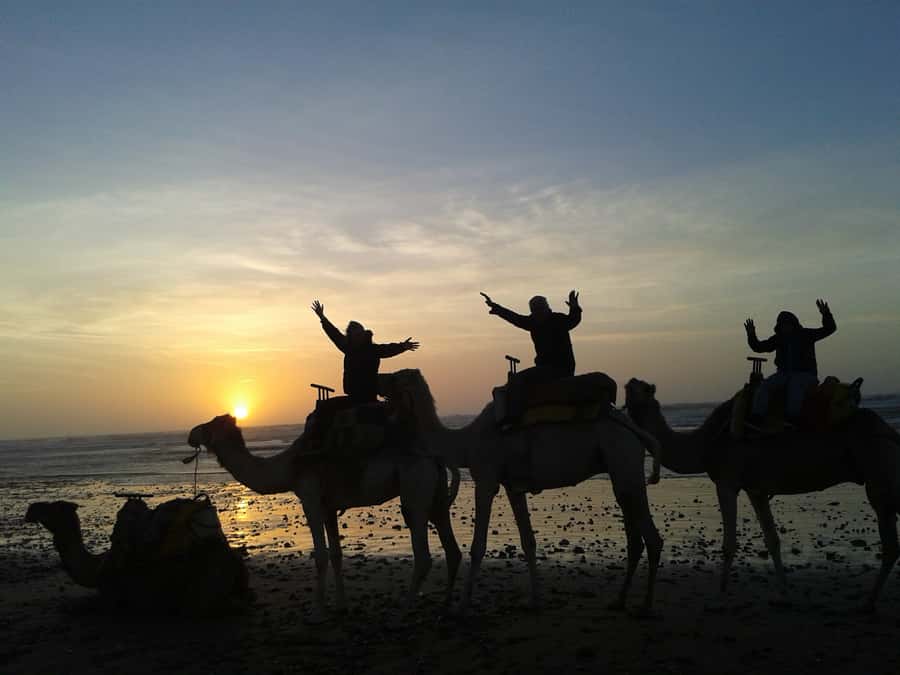 Essaouira: One Hour Dromedary Ride - Crossing the dunes near Diabat