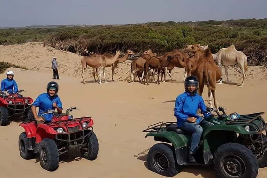 Essaouira P3: Quad tour forest beach dunes (free transfer) - Who should book this Essaouira quad tour?