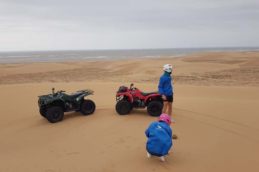 Essaouira P3: Quad tour forest beach dunes (free transfer) - Why this ride is different from a standard Essaouira outing