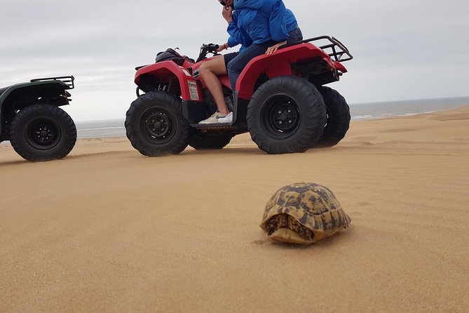 Essaouira: Pleasant Quad tour (free transfer) - Key points to know before you book