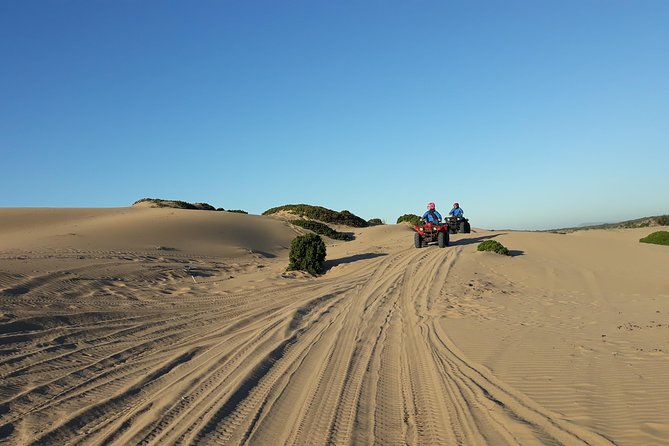 Essaouira: Pleasant Quad tour (free transfer) - What two hours really gives you