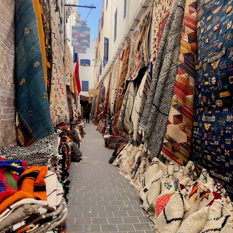 Essaouira: Private City Tour - Starting at the fishing port and old watchtower