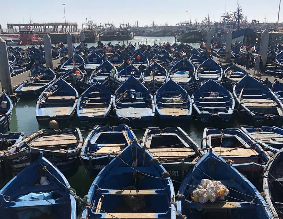 Essaouira: Private City Tour - The guides make the difference