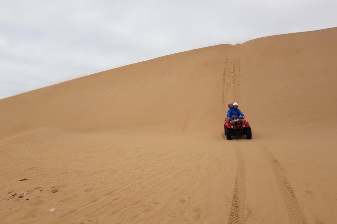 Essaouira: Quad ride / family & friends (free transfer) - Diabat, Cap Sim, and Sidi Kaouki