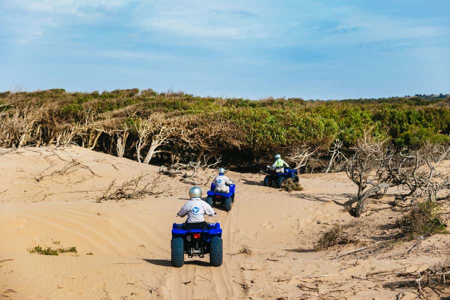 Essaouira Sand Dunes: Half Day Quad Bike Tour - Who will enjoy this ride most